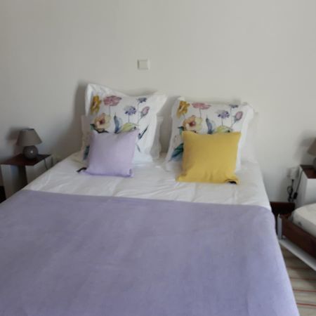 レゲンゴス・デ・モンサラーシュ Casa De Campo Quinta Sao Jorgeヴィラ エクステリア 写真